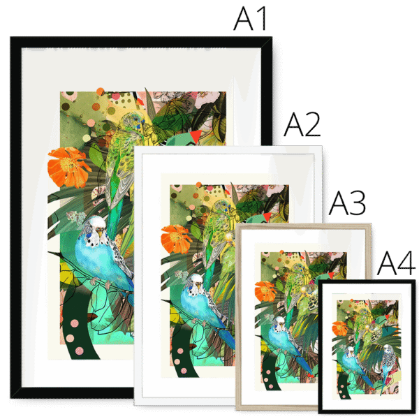 blooming-budgerigars-framed-with-a-mount-print-29154938552476-2.png
