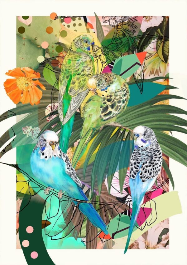 blooming-budgerigars-matte-art-print-16949532754076-2.jpg