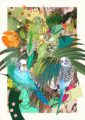 blooming-budgerigars-matte-art-print-16949532754076-2.jpg