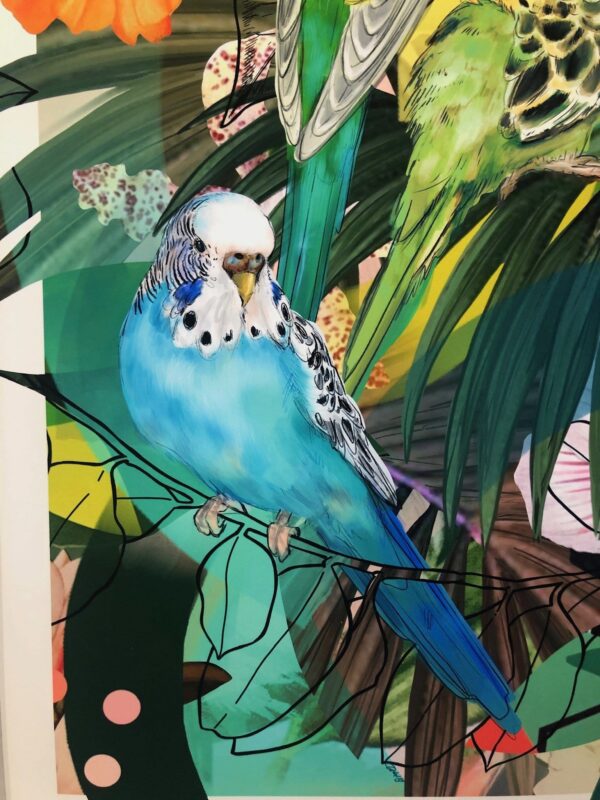 blooming-budgerigars-matte-art-print-16949532819612-2.jpg
