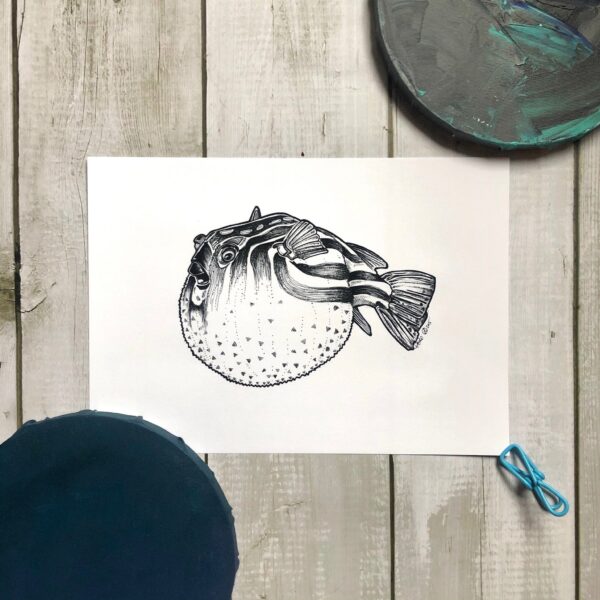 blowfish-ink-drawing-matte-art-print-19847852589212-3.jpg blowfish-ink-drawing-matte-art-print-19847852589212-3.jpg