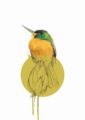 blue-cheeked-jacamar-giclee-art-print-16949534359708-2.jpg