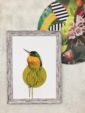 blue-cheeked-jacamar-giclee-art-print-16949534392476-2.jpg