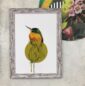 blue-cheeked-jacamar-giclee-art-print-16949534425244-2.jpg