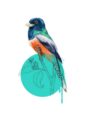 blue-crowned-trogon-giclee-art-print-16949534294172-2.jpg