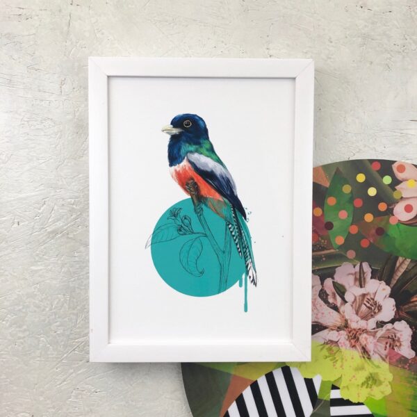 blue-crowned-trogon-giclee-art-print-16949534326940-2.jpg blue-crowned-trogon-giclee-art-print-16949534326940-2.jpg
