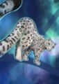 blue-snow-leopard-giclee-art-print-19847905738908-3.jpg