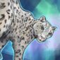 blue-snow-leopard-giclee-art-print-19847905837212-3.jpg