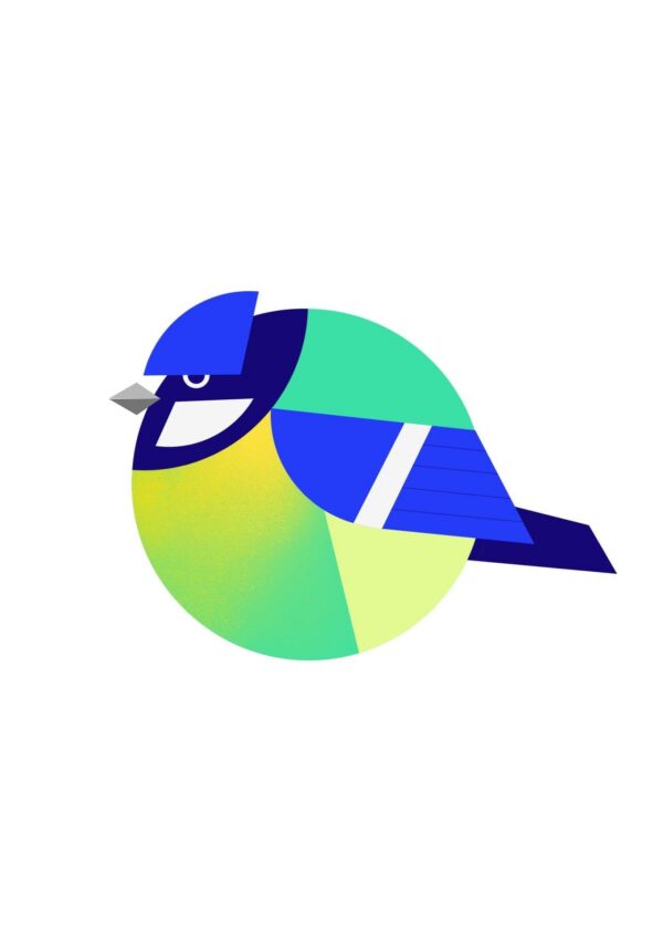 bluetit-matte-art-print-19056328179868-2.jpg