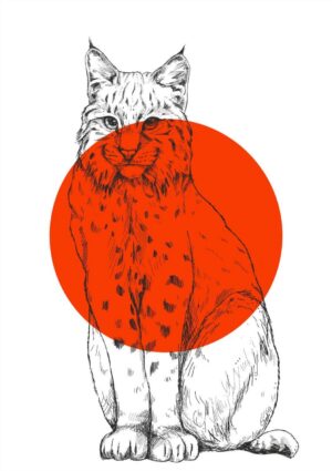 Bobcat Matte Art Print