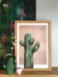 bobcatctus-pink-matte-art-print-16949556773020-2.jpg