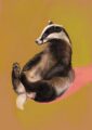 bonnie-badger-giclee-art-print-38311043367161-2.jpg