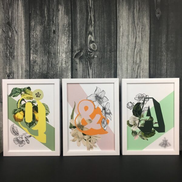 botanical-alphabet-a-matte-art-print-17115091271836.jpg botanical-alphabet-a-matte-art-print-17115091271836.jpg