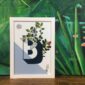 botanical-alphabet-b-matte-art-print-17115091107996.jpg