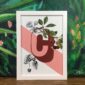 botanical-alphabet-c-matte-art-print-17115090976924.jpg