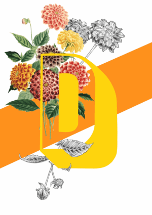 Botanical Alphabet D Matte Art Print