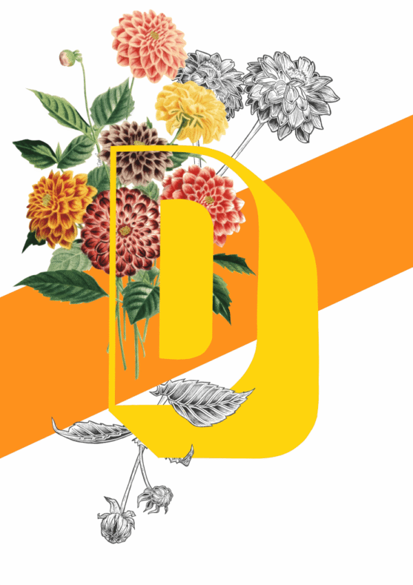 botanical-alphabet-d-matte-art-print-17115089797276.png botanical-alphabet-d-matte-art-print-17115089797276.png