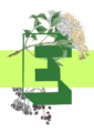 botanical-alphabet-e-matte-art-print-17115089371292.png