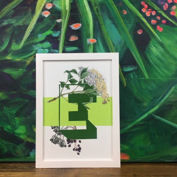 botanical-alphabet-e-matte-art-print-17115089404060.jpg