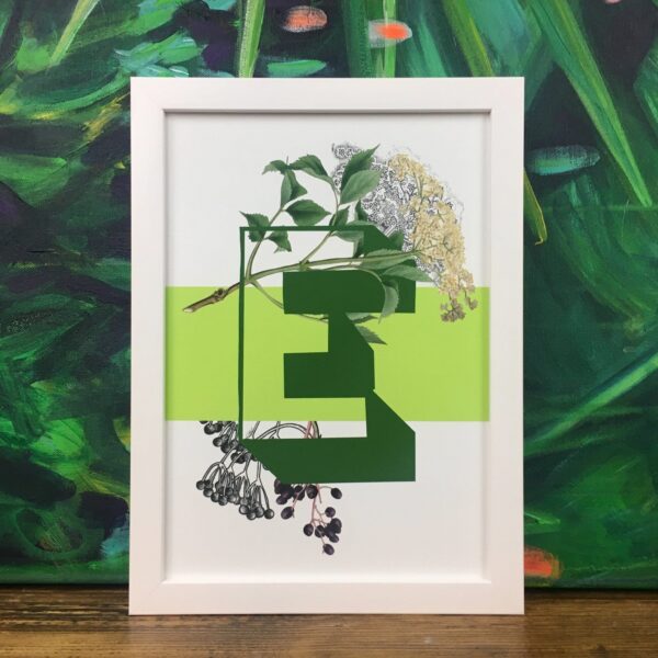 botanical-alphabet-e-matte-art-print-17115089436828.jpg