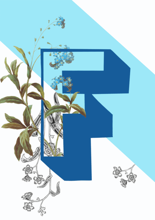 botanical-alphabet-f-matte-art-print-17115088519324.png