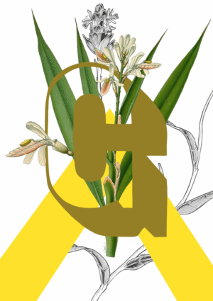 Botanical Alphabet G Matte Art Print