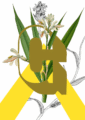 botanical-alphabet-g-matte-art-print-17115088060572.png