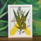 botanical-alphabet-g-matte-art-print-17115088126108.jpg