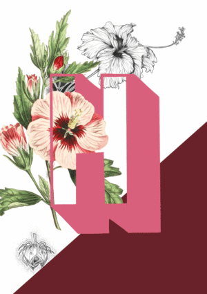Botanical Alphabet H Matte Art Print