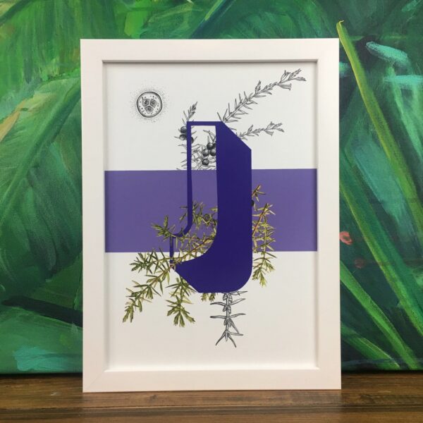botanical-alphabet-j-matte-art-print-17115087208604.jpg