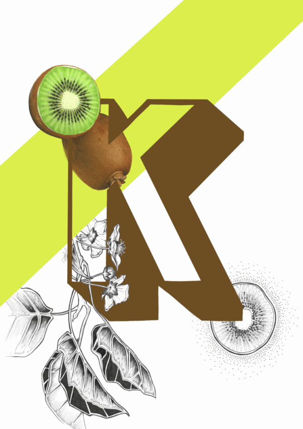 botanical-alphabet-k-matte-art-print-17115086946460.png