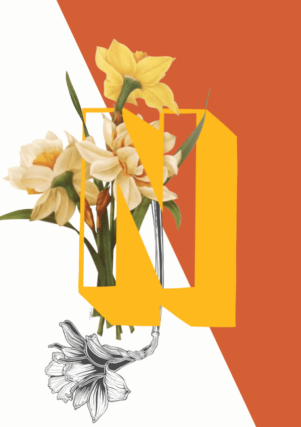 botanical-alphabet-n-matte-art-print-17115086192796.png