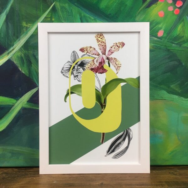 botanical-alphabet-o-matte-art-print-17115085963420.jpg