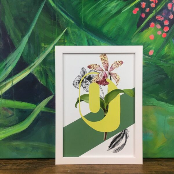botanical-alphabet-o-matte-art-print-17115085996188.jpg