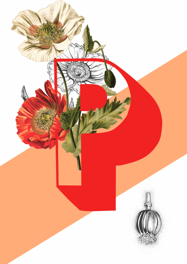 botanical-alphabet-p-matte-art-print-17115085799580.png