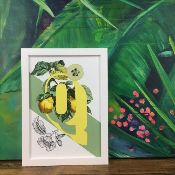 botanical-alphabet-q-matte-art-print-17115085734044-3.jpg