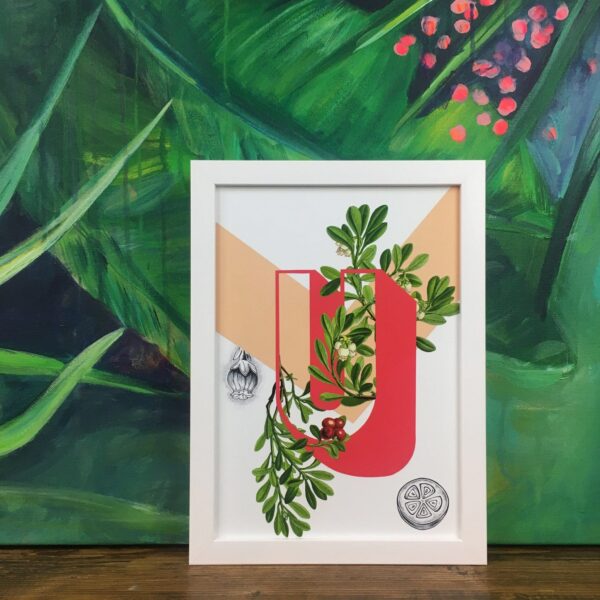 botanical-alphabet-u-matte-art-print-17115084390556-3.jpg