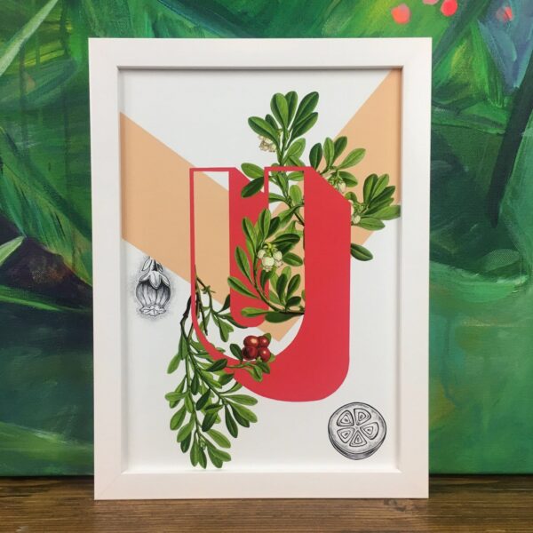 botanical-alphabet-u-matte-art-print-17115084423324-3.jpg