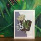 botanical-alphabet-w-matte-art-print-17115083374748-3.jpg
