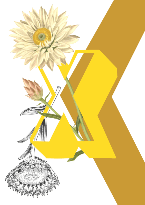 botanical-alphabet-x-matte-art-print-17115083112604-3.png botanical-alphabet-x-matte-art-print-17115083112604-3.png