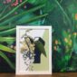 botanical-alphabet-y-matte-art-print-17115082883228-3.jpg