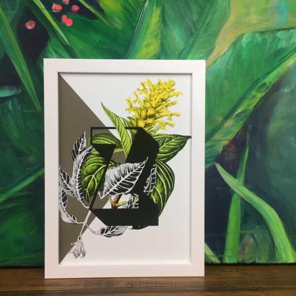 botanical-alphabet-z-matte-art-print-17115082391708-3.jpg botanical-alphabet-z-matte-art-print-17115082391708-3.jpg