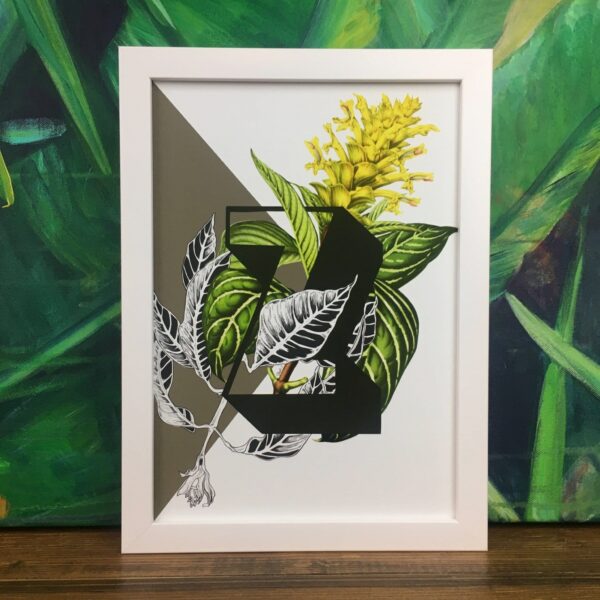 botanical-alphabet-z-matte-art-print-17115082424476-3.jpg botanical-alphabet-z-matte-art-print-17115082424476-3.jpg