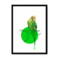 budgie-bird-bf-nom-14.png