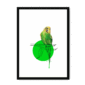 budgie-bird-bf-wm-10.png