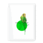 budgie-bird-wf-wm-10.png