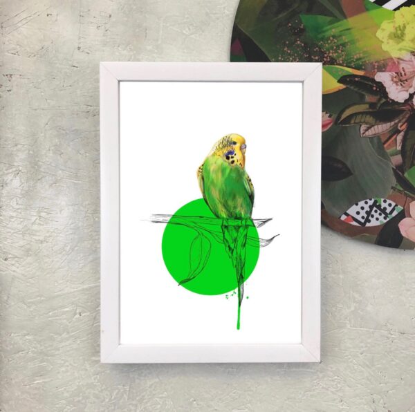 budgie-giclee-art-print-16949530984604-2.jpg