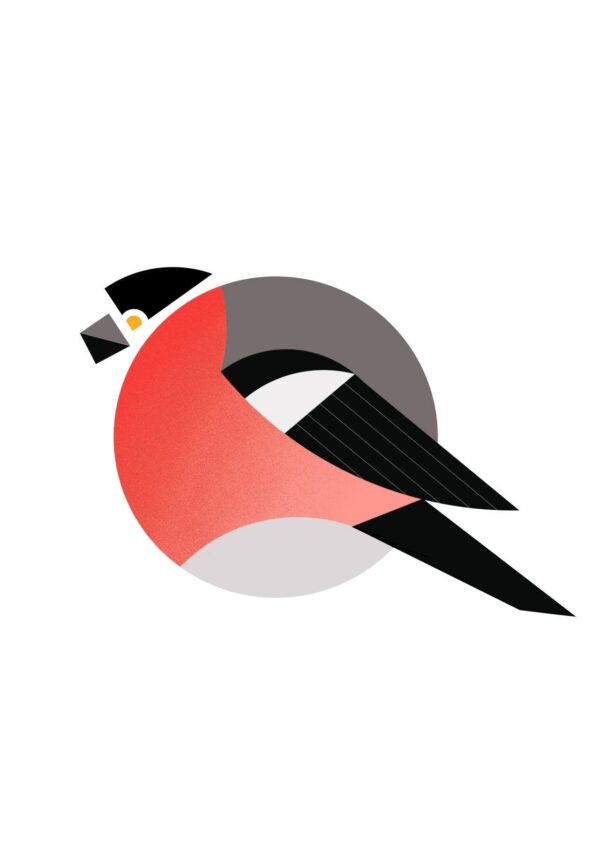 bullfinch-matte-art-print-19056348233884-2.jpg