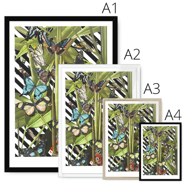 butterfly-tropicana-framed-print-31619750101148-3.png butterfly-tropicana-framed-print-31619750101148-3.png