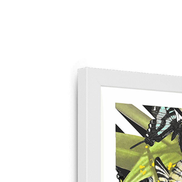 butterfly-tropicana-framed-print-31619750199452-3.png butterfly-tropicana-framed-print-31619750199452-3.png